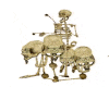 Skeleton Drum