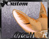 Ono's Ears (M/F)