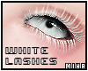 [M] Xmas Head WhiteLash