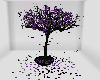 ~S~ Purple Passion Tree