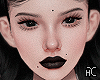 bely v2
