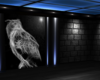 darks owl room
