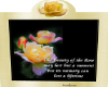gold rose frame quote