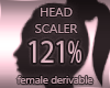 Head Resizer 121%
