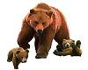 Mummy bear and cubs