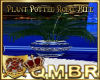 QMBR Plant Potted RB