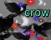 Crow effect
