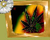 cannabis picture