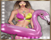 2FY Bold Splash Flamingo