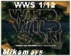 Wild Wild Son (Armin)