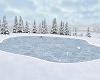 Ice Skating Rink & Poses