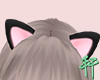 X。 Black Cat Ears