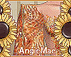 AM* Lucia Cape