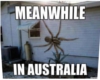 Meanwhile in Oz