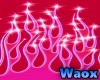 W Pink Flames Bg