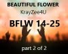 BEAUTIFUL FLOWER  PT 2