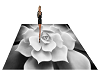 black white rose rug
