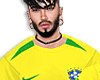[Y] Brasil F Drv V2