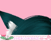 Cat Ear Teal