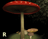 Mushroom Setting