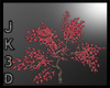 Ancient Maple Sapling