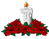poinsetta candle animate