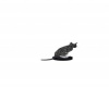 {LS} Roomba Cat