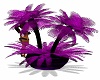 Purple Potted Palms
