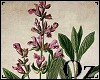 [Oz] - Picture Plant 4