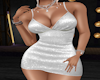 Glittery Silver Dress RL