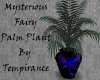 Mysterious Fairy Palm
