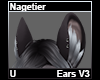 Nagetier Ears V3