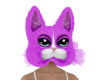 Purple Cat Haed