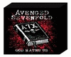 A7X - God Hates Us