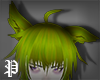 Wlf green