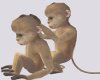 Animated Baby Monkeys