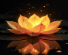 > l < Gold Lillie bg *