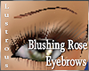 ^L~ Blushing Rose Brows
