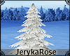 [JR] Winter Snow Pine