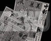 D. News Paper