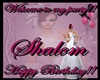 shalom`s birthday poster