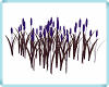 MAU/ CAT TAIL PLANT PRPL