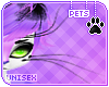 [Pets] Hana | whiskers