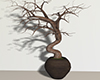 M* Mini Tree with Shadow