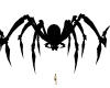 Spider Arme2