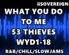 What You Do 53 Thieves