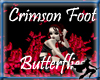 Crimson Foot Butterflies