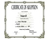 Pampers38 Adoption Cert