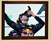 💖 Ricciardo poster