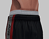 Jordans Shorts / Tatto